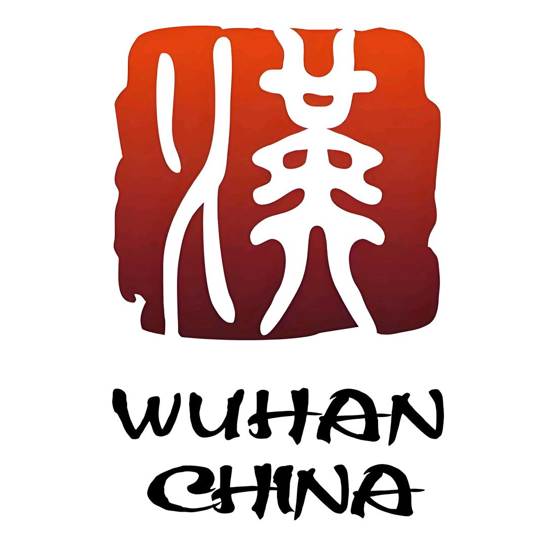 在武漢