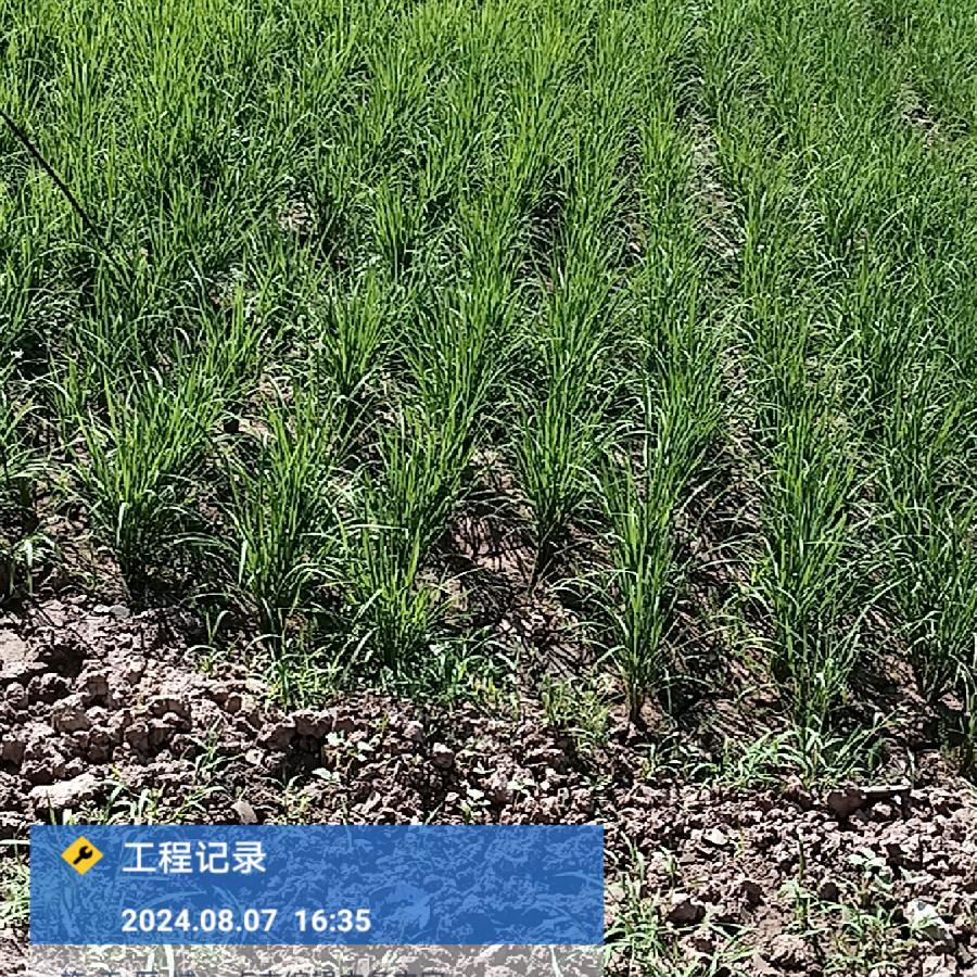 田周围