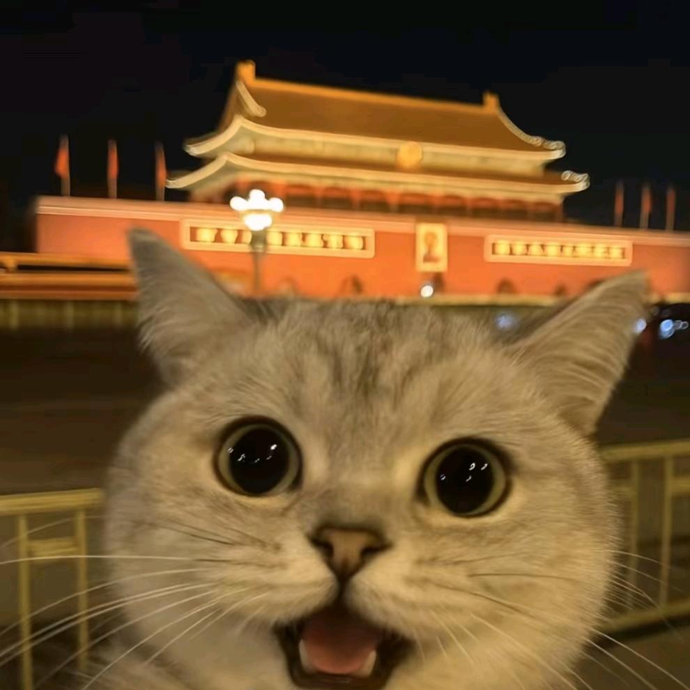 港湾