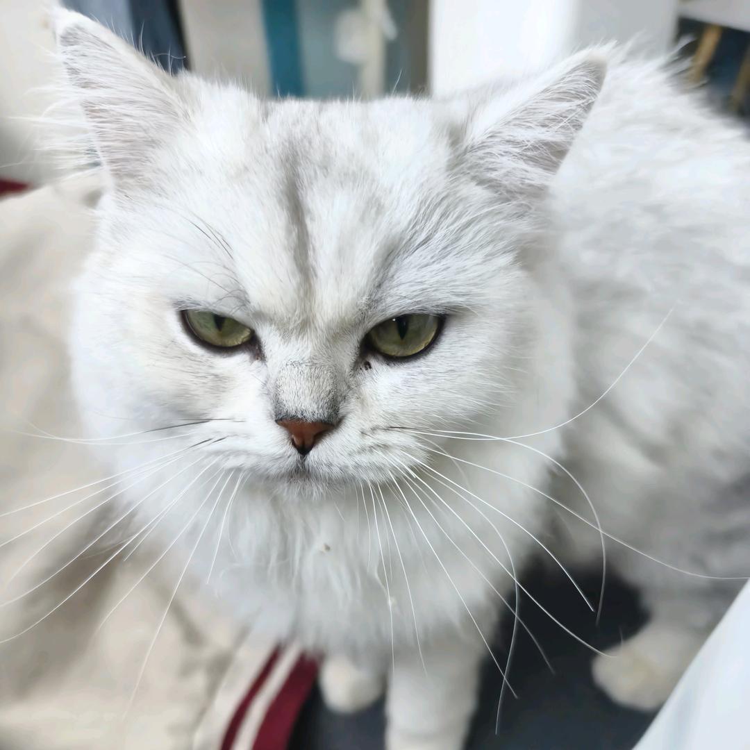 追风