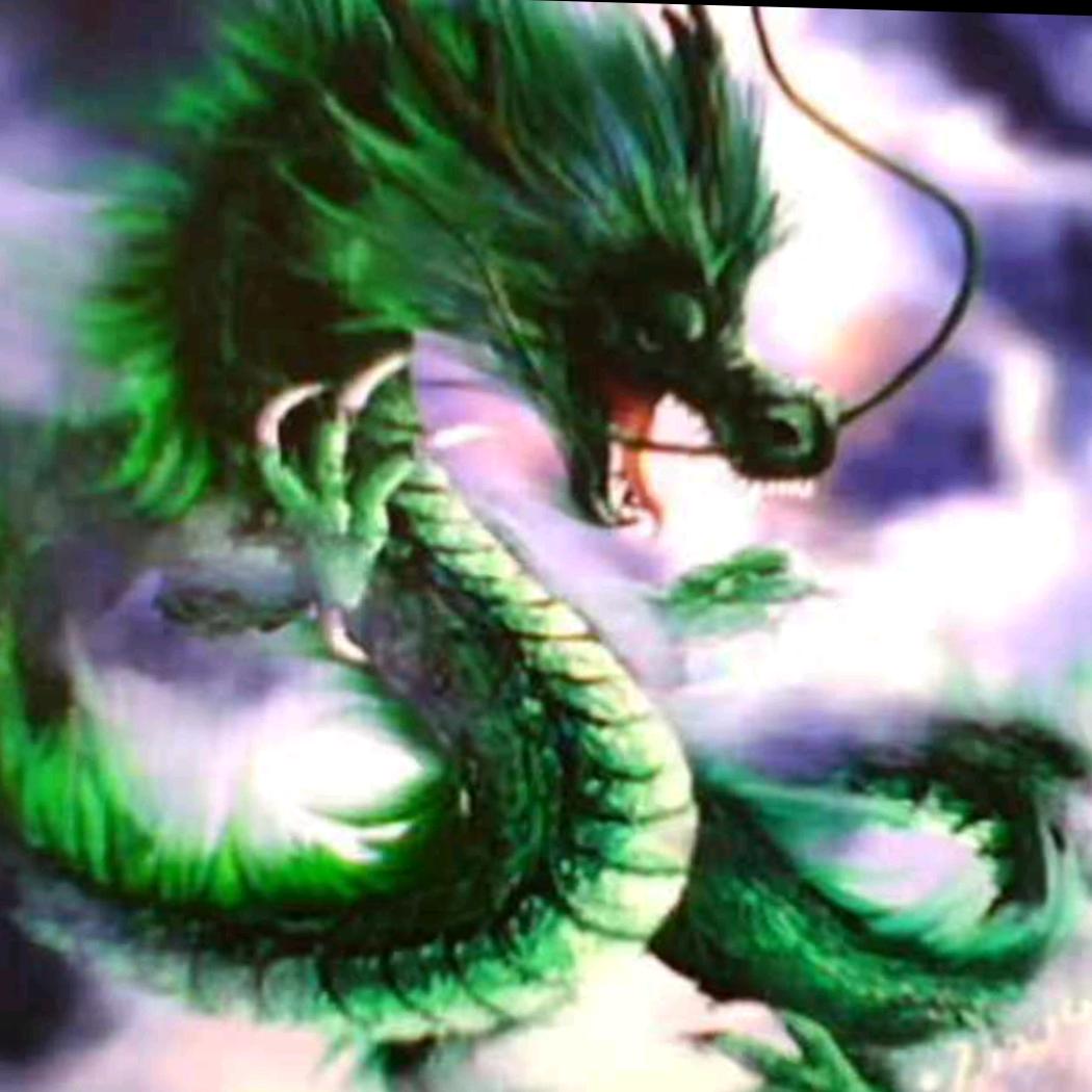 龙哥