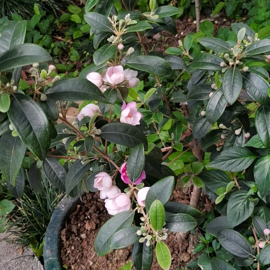 一生平安