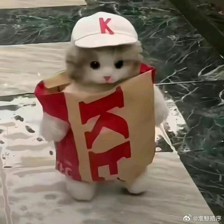 x君