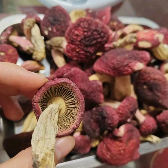 宝玉参茸滋补