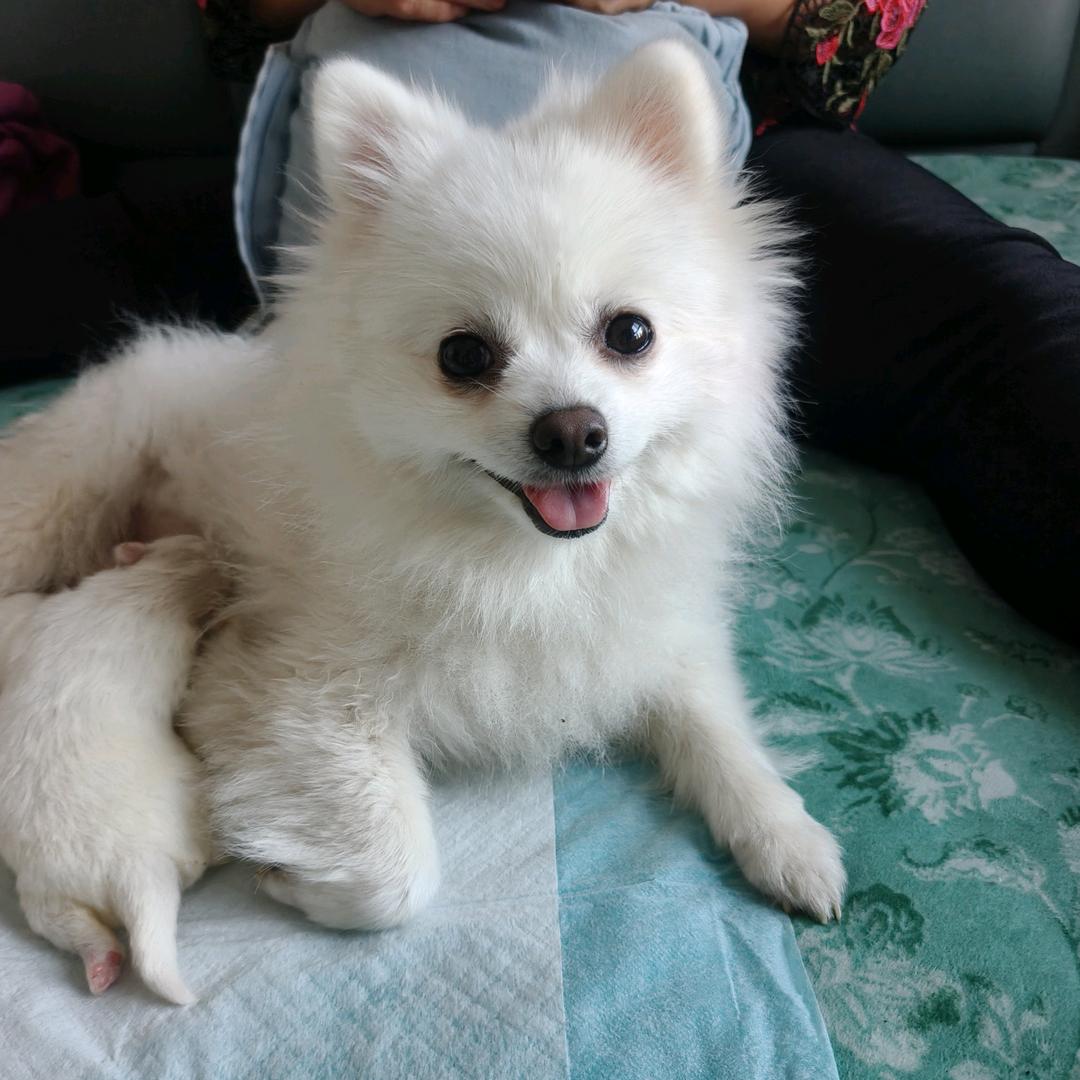 我嘞个豆