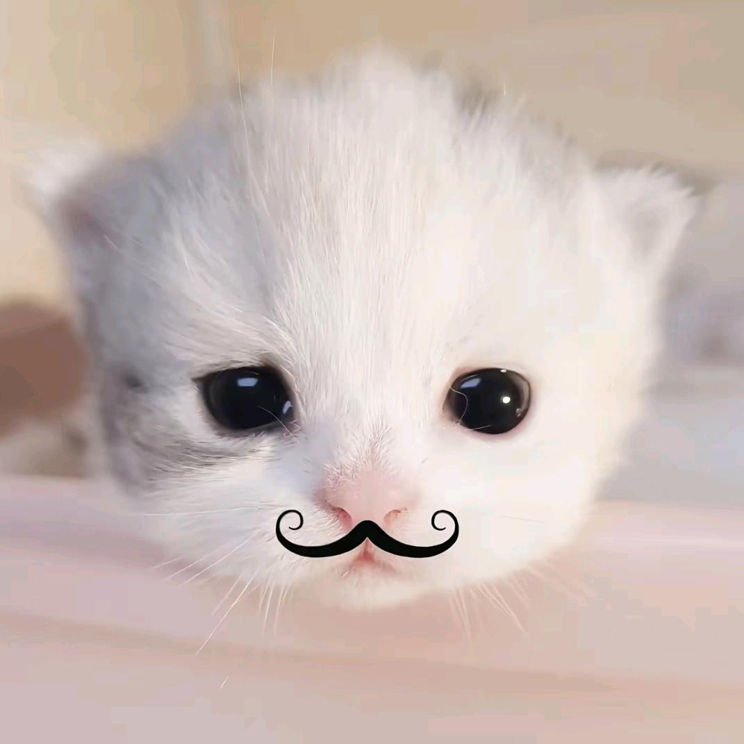 >=^ P fish