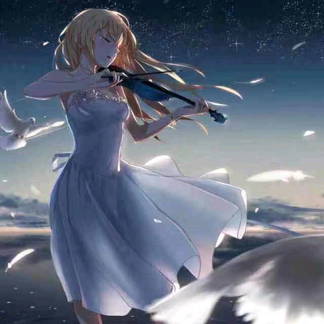 完美的选择