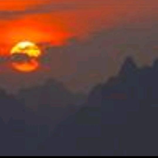 夕阳红