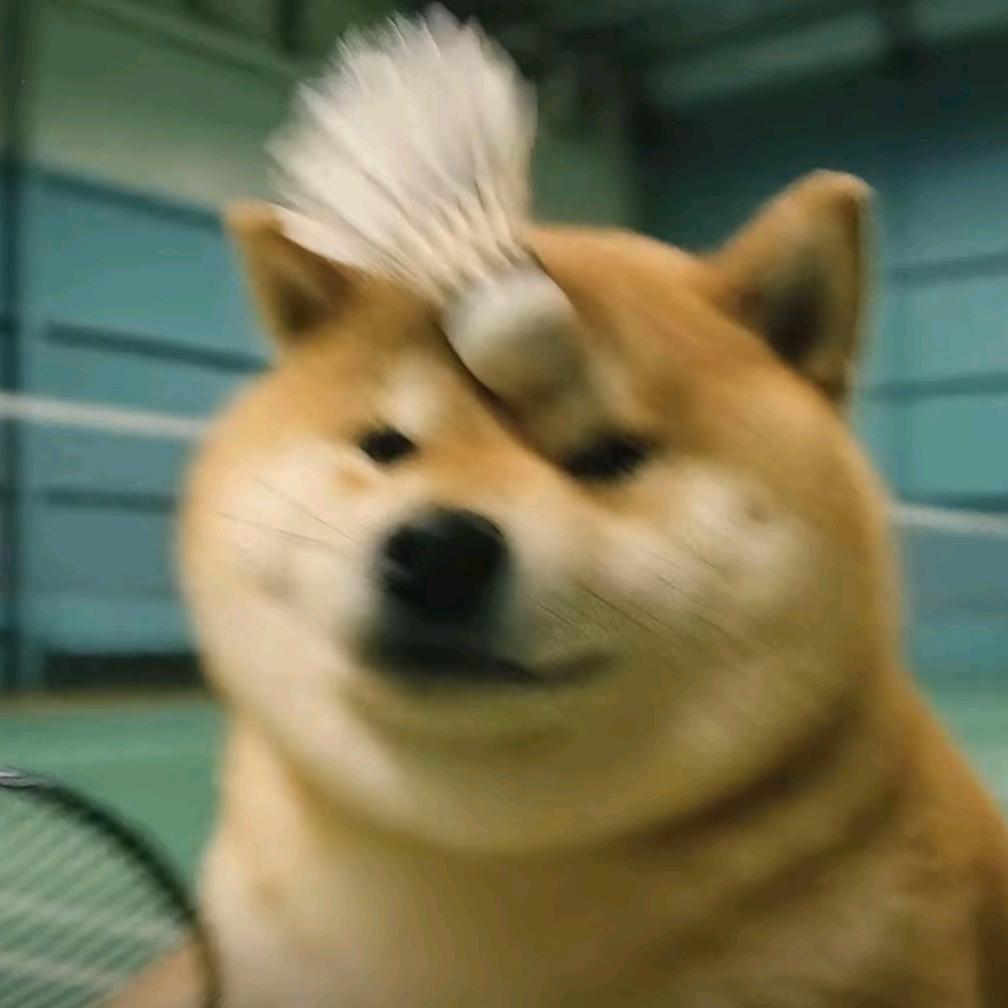 晚风i