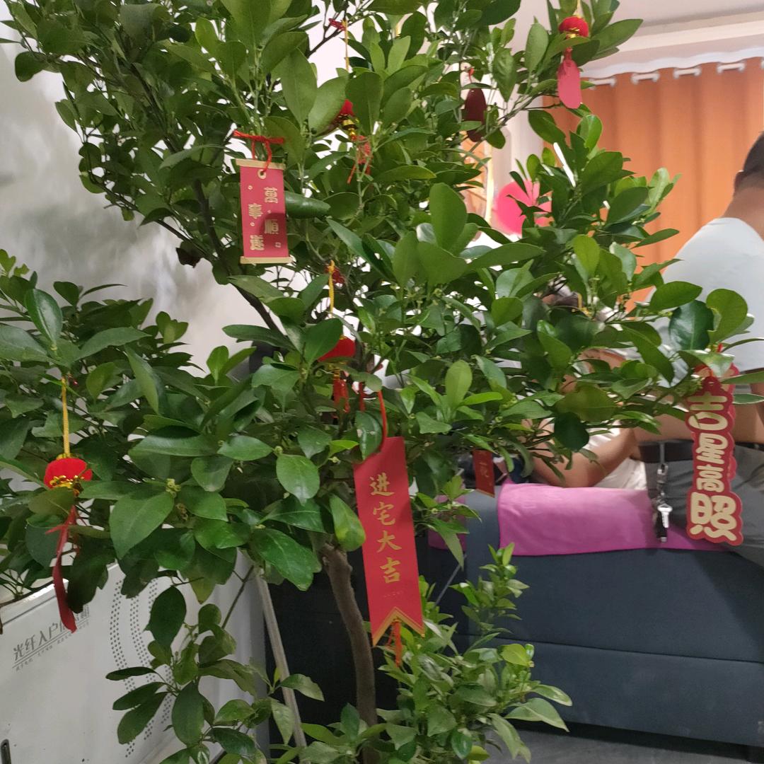 张经理传媒公司