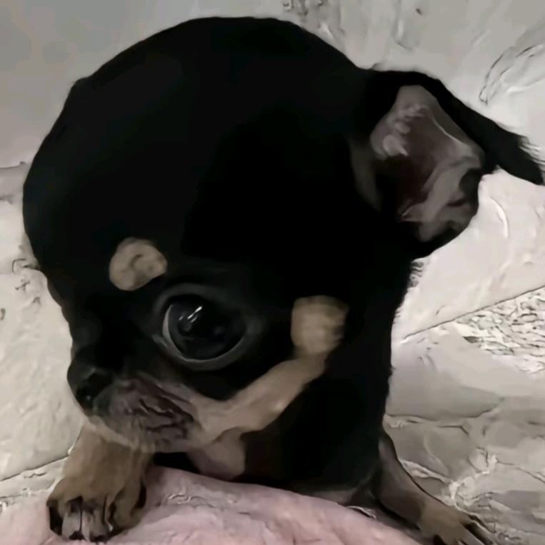 洗袜袜