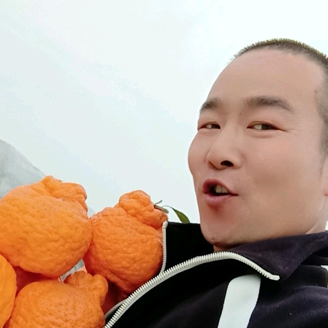 利哥来了【产地直发】