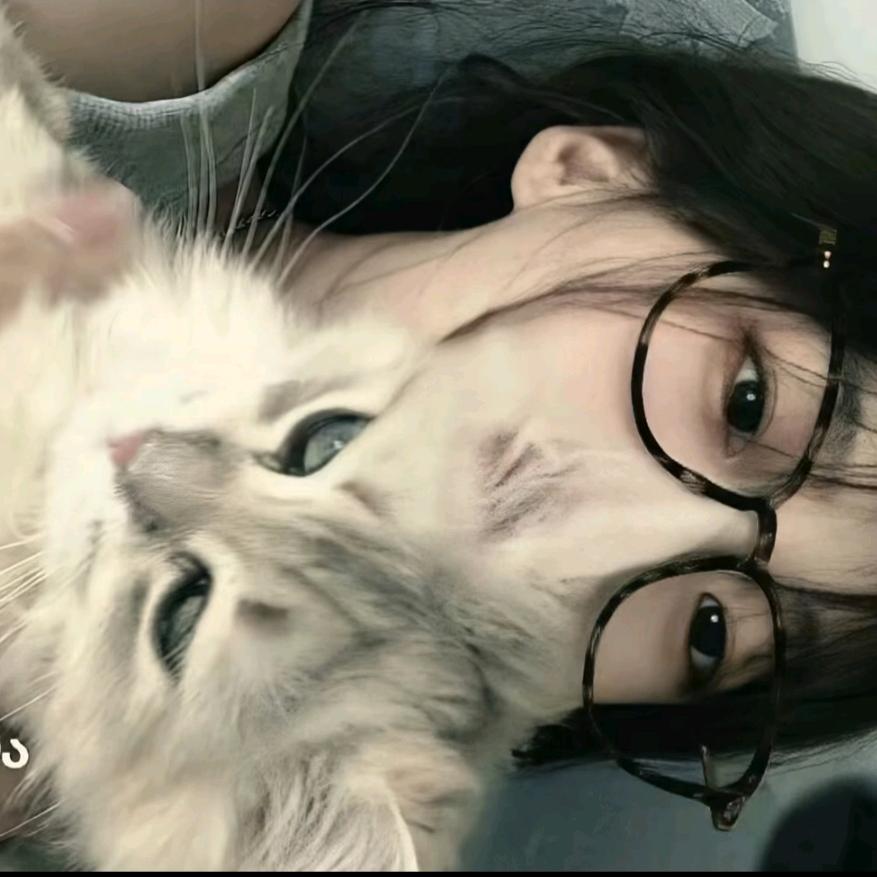 贝熊
