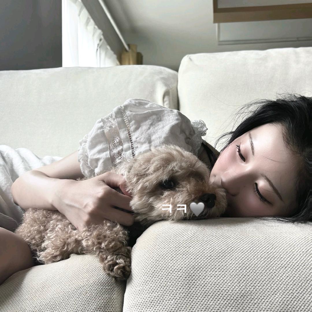 猫猫Yu🍓