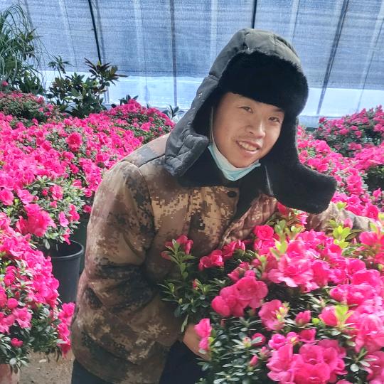 沈阳花禧林同城花卉绿植