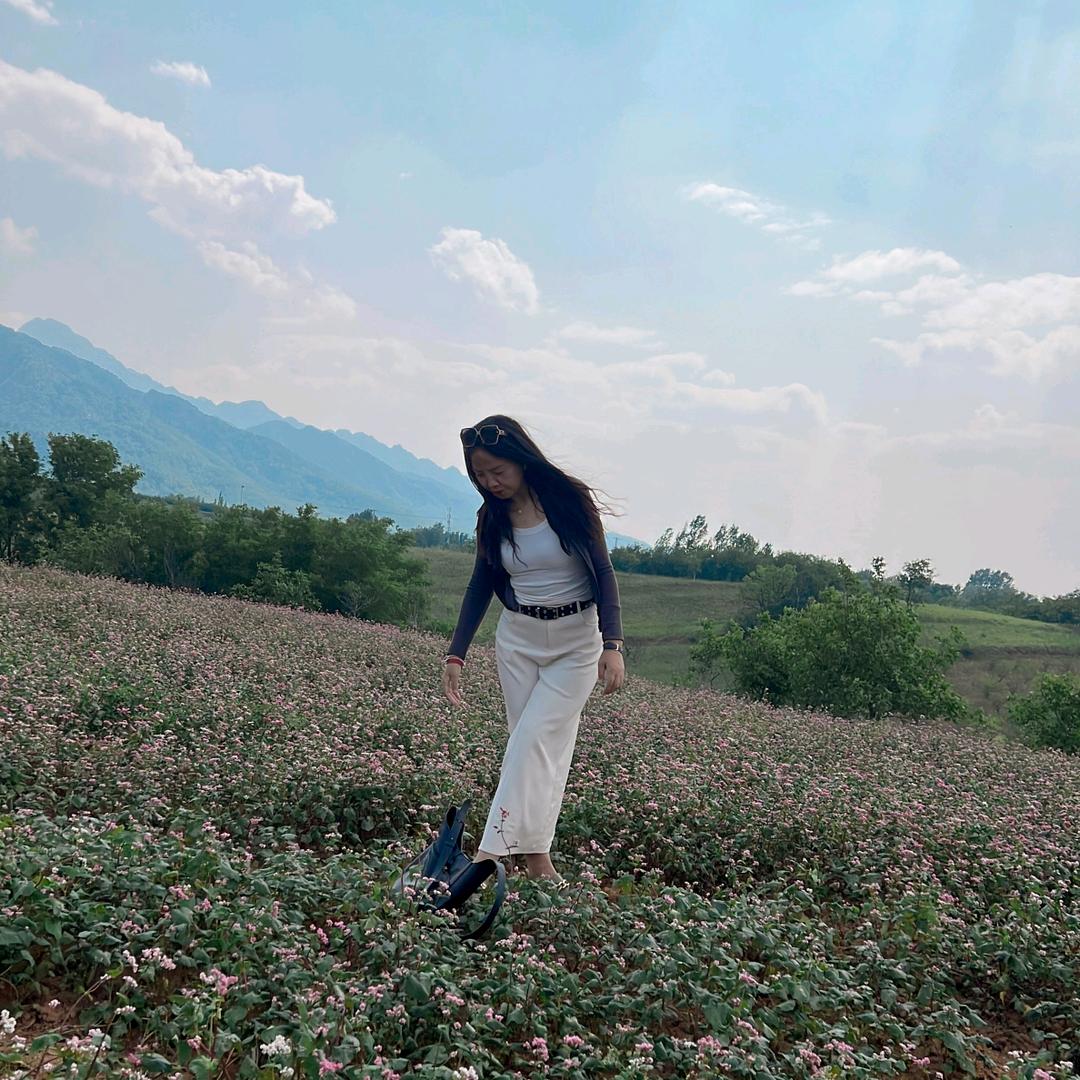 圣泰，富硒科技茶