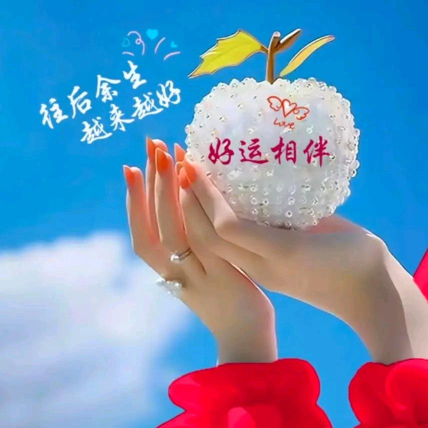 一路相伴