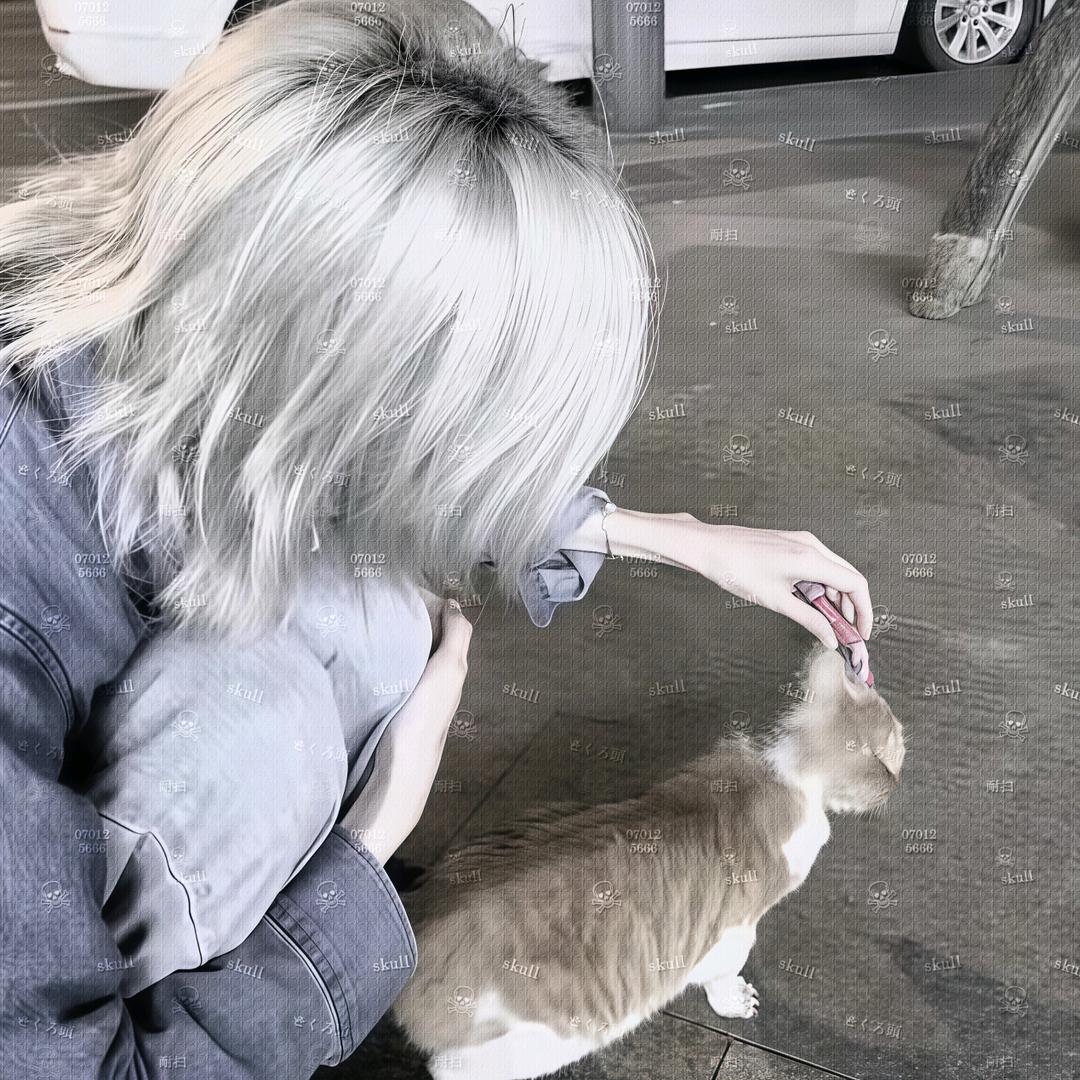 耐扫