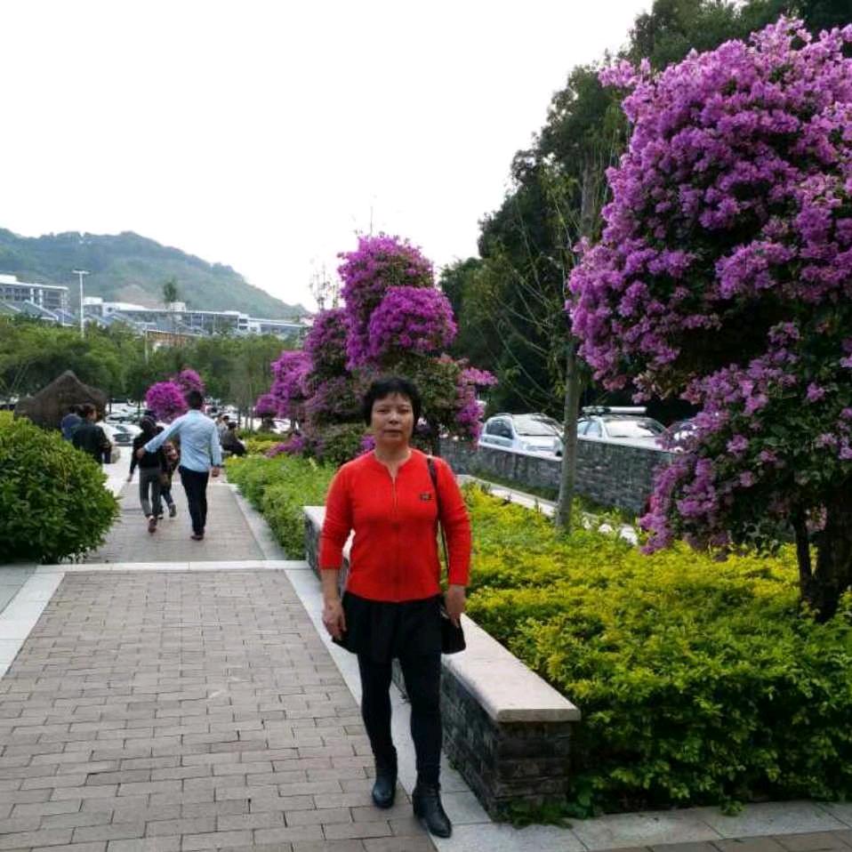 农村金姐