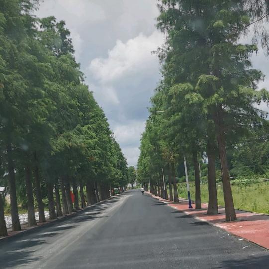 广东姑娘在越南