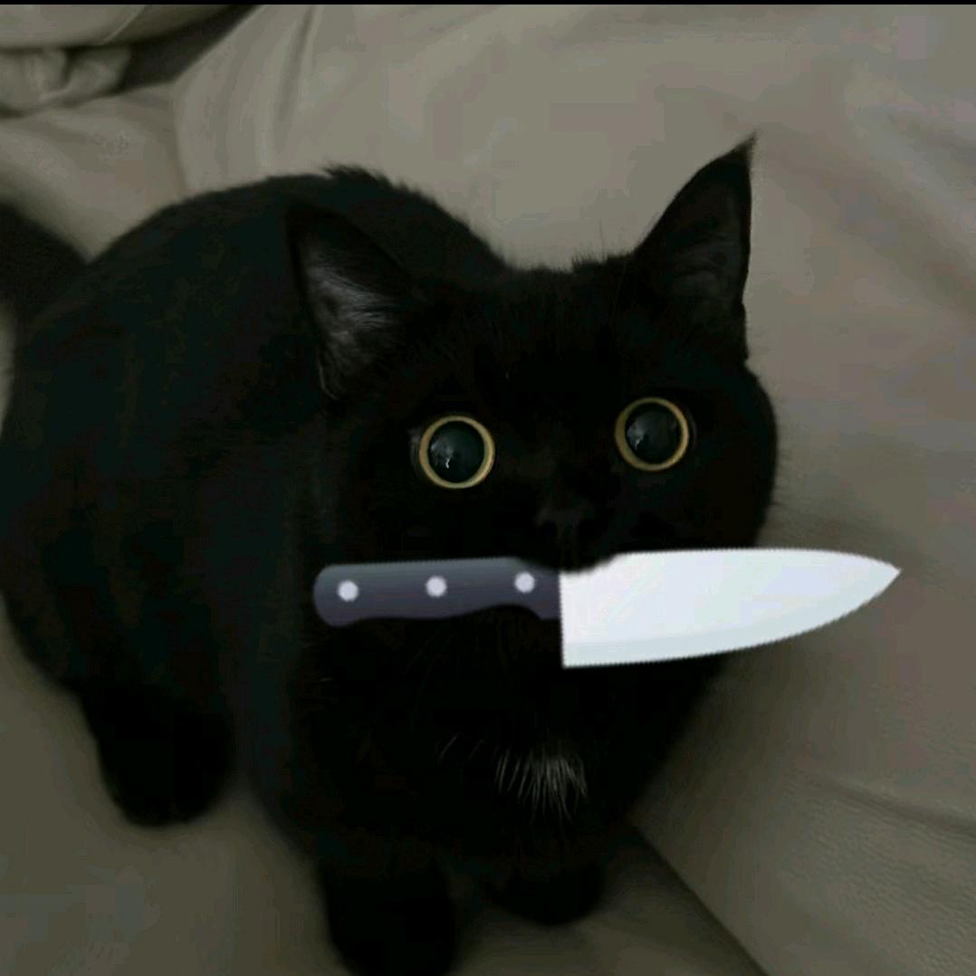 锂猫鼐