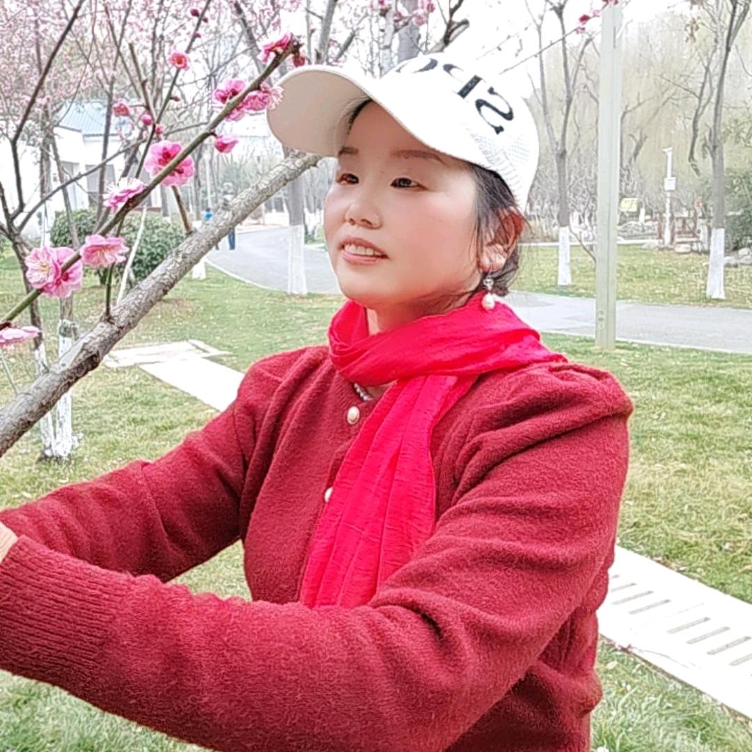 风中蝉声