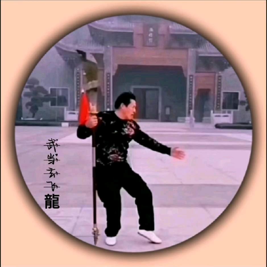 武當玄飛龍