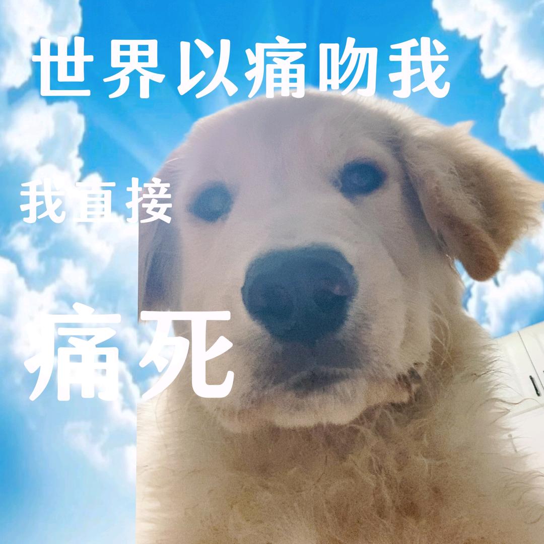 三毛流浪记