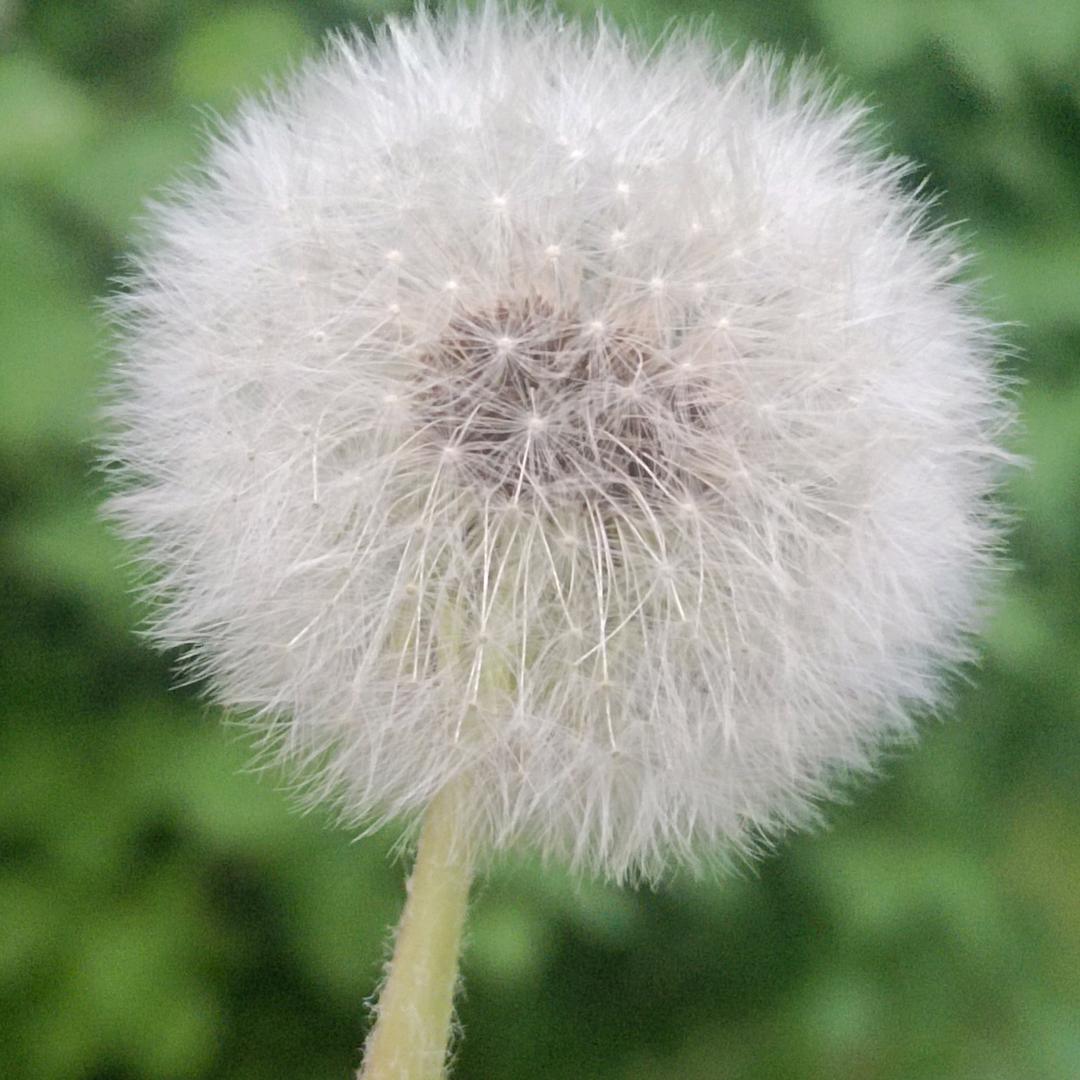 怡然似梦