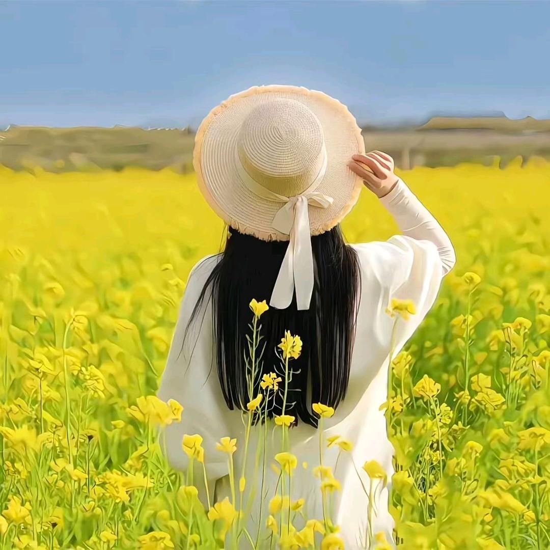 林儿甄选361