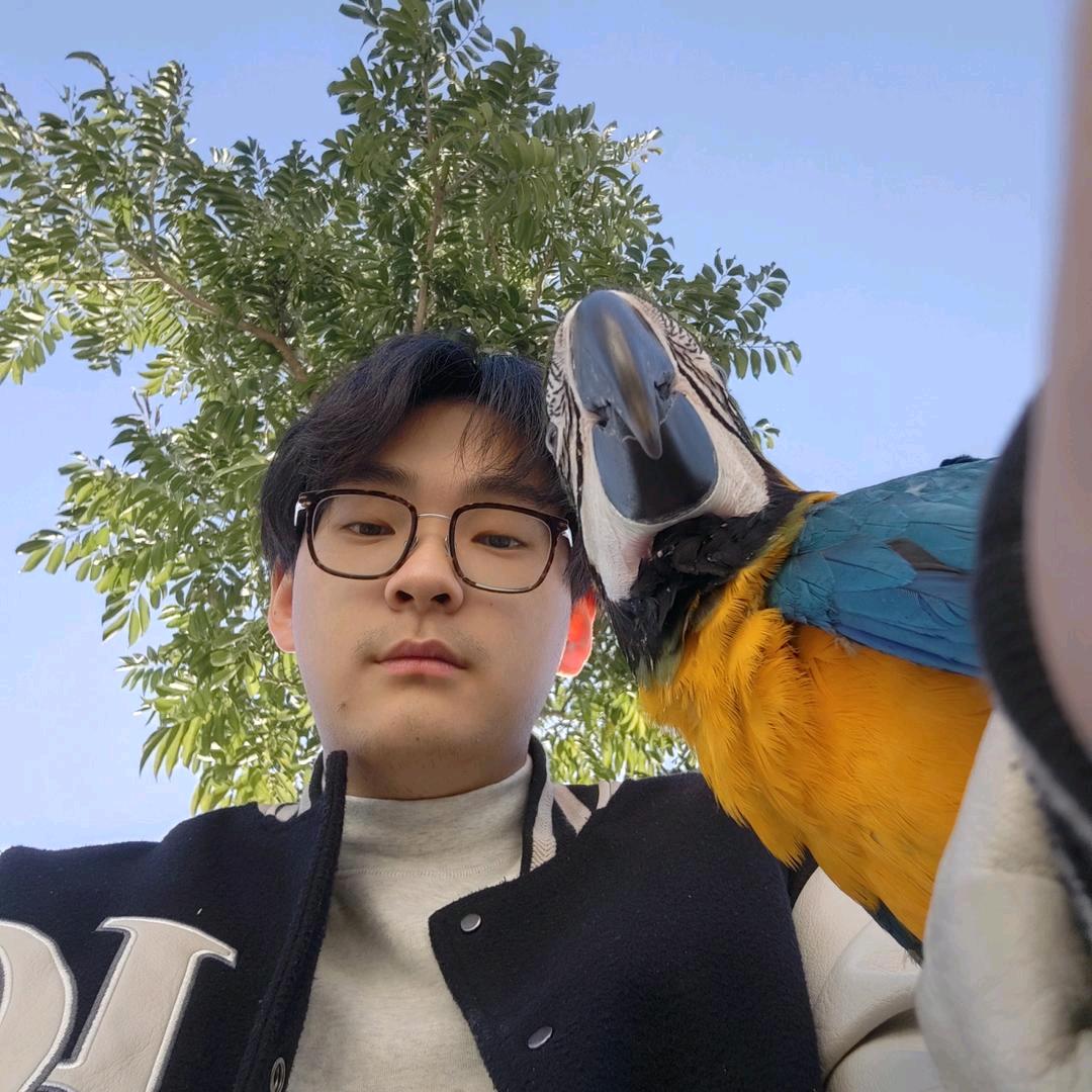 啾啾鹦鹉