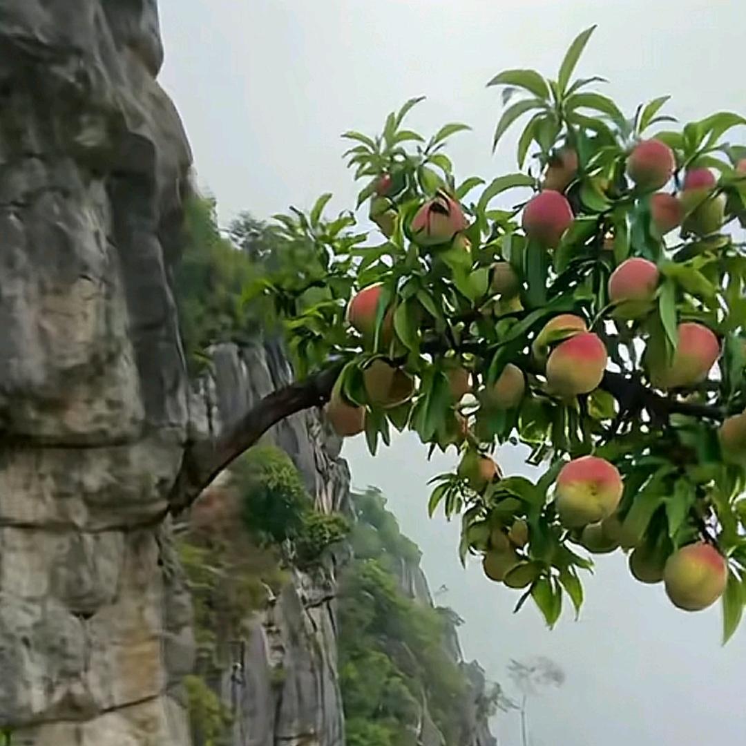繁星点点