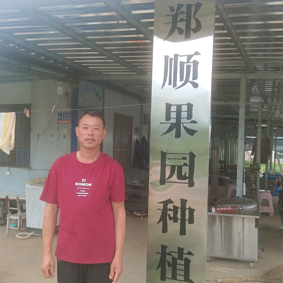 郑顺果园（军哥）