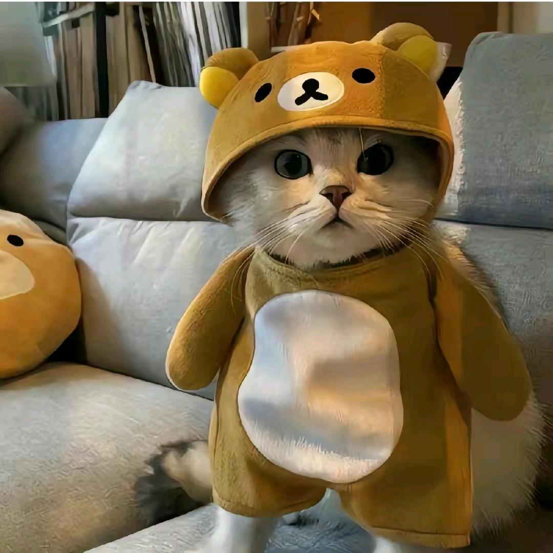 零一