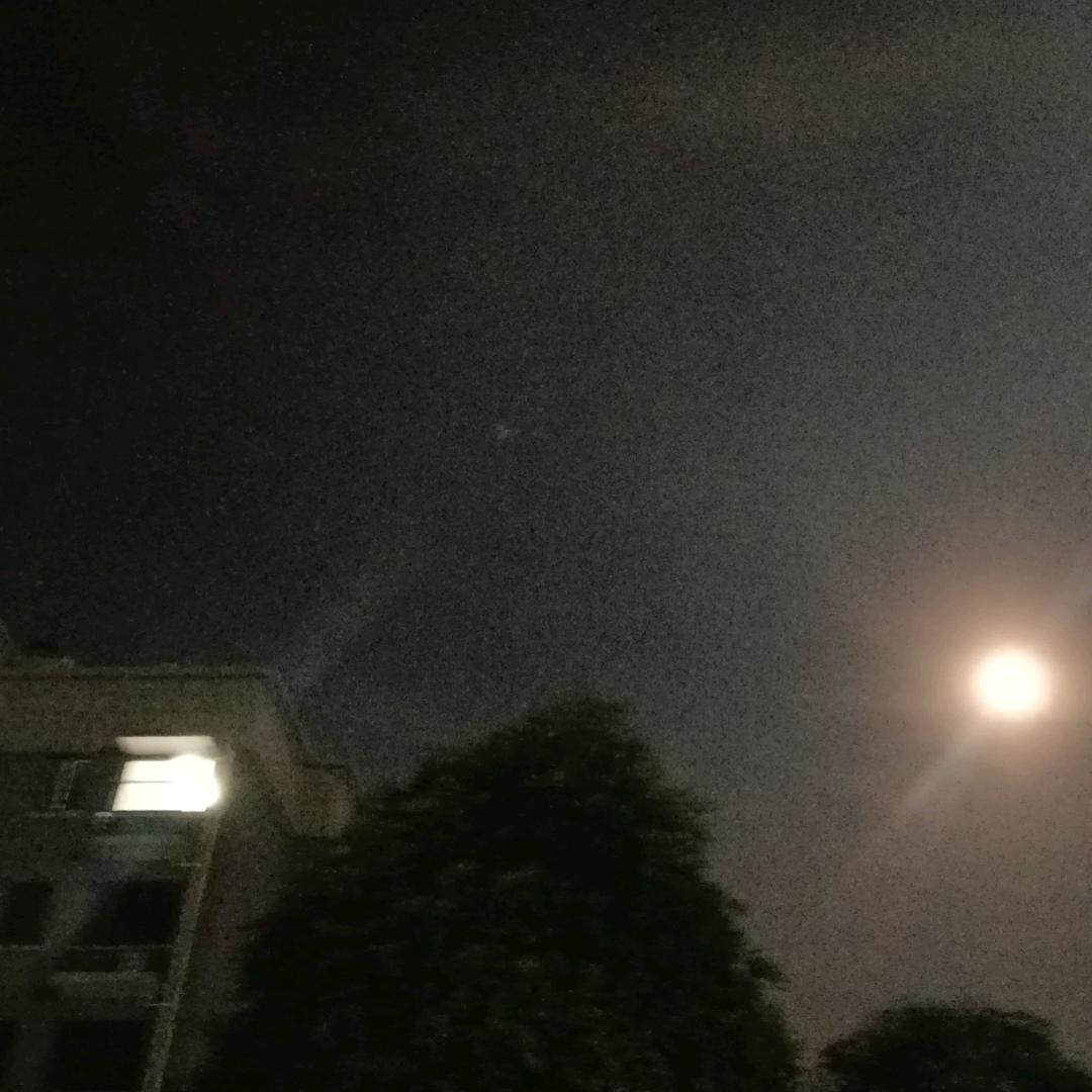 斩青