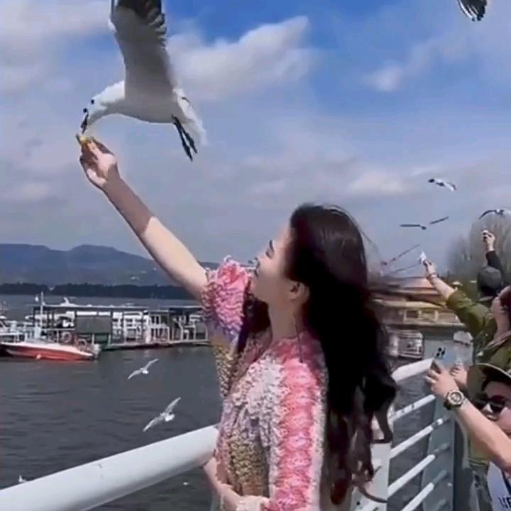 海棠依旧🌸