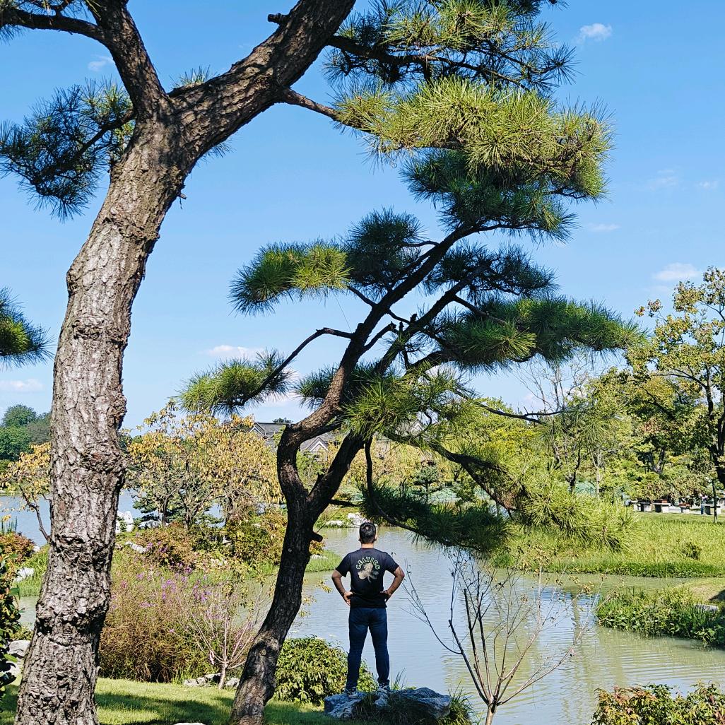 明同学
