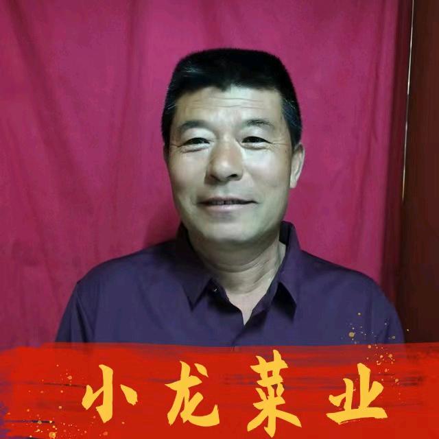 小龙菜业