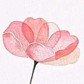 书小茶