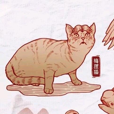 梅狸猫