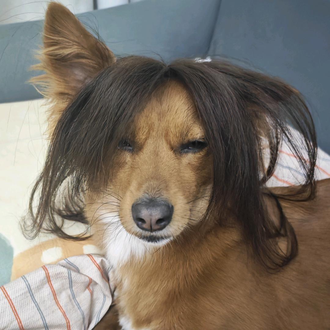 李吃货