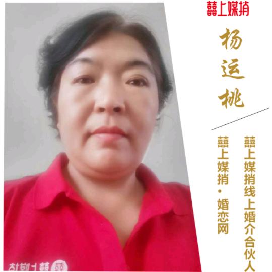 桃姐婚介
