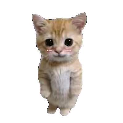 慧姐