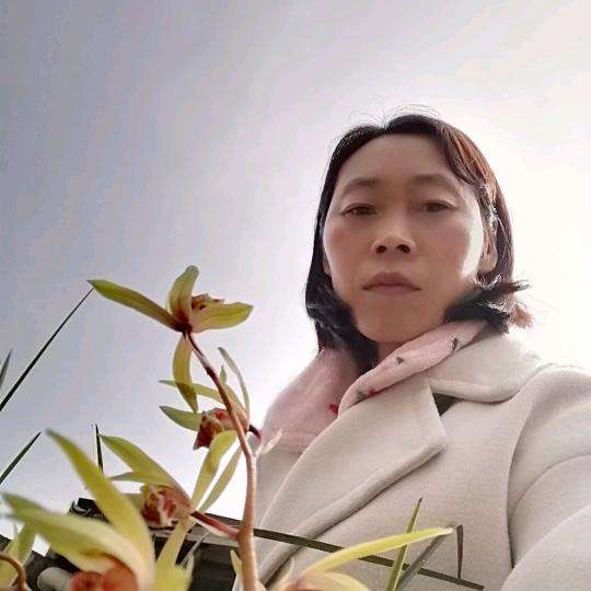 农村芳姐（小号）