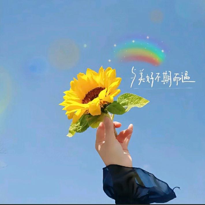 小小丽经营部
