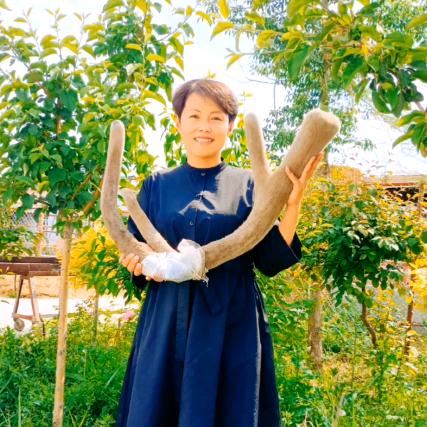 石河子市群雄逐鹿商铺666