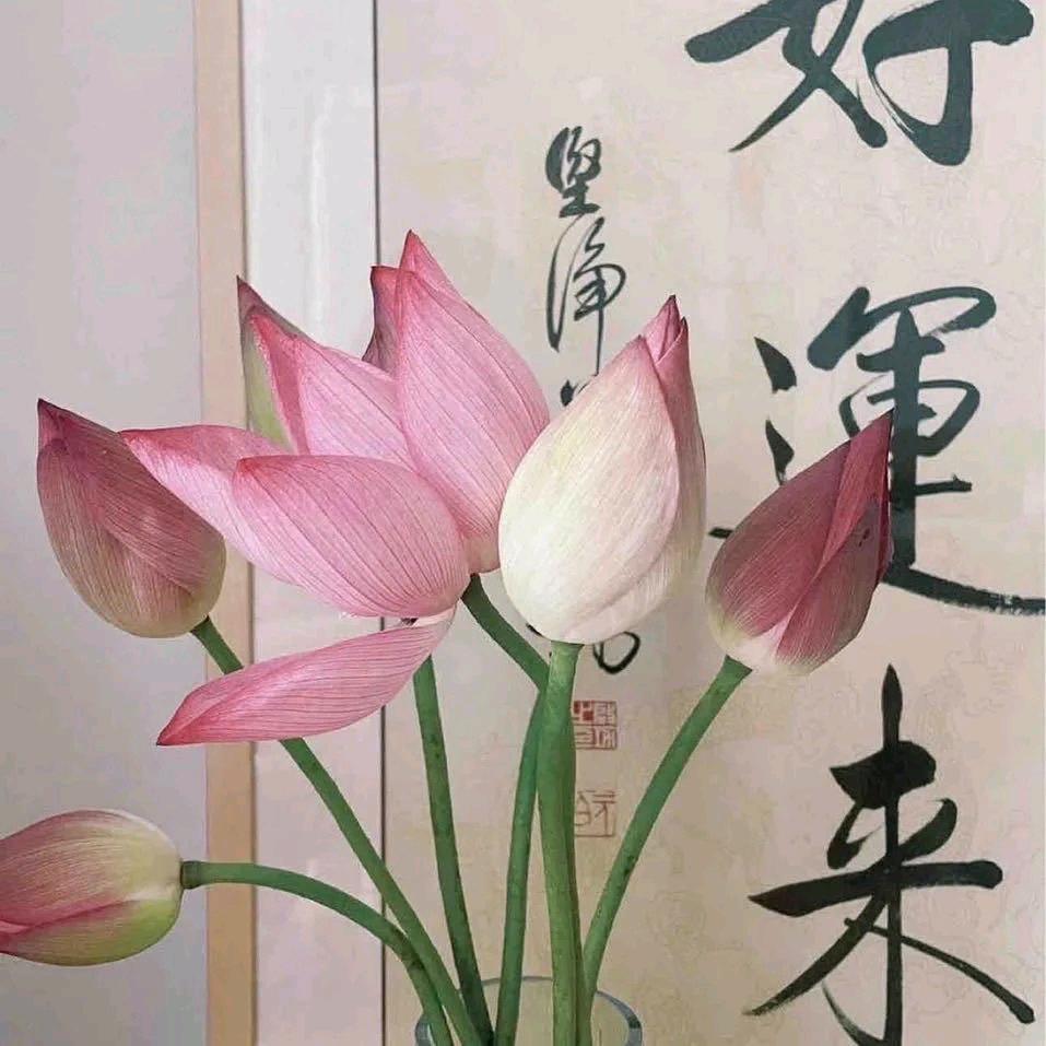 秋风凉稻谷香