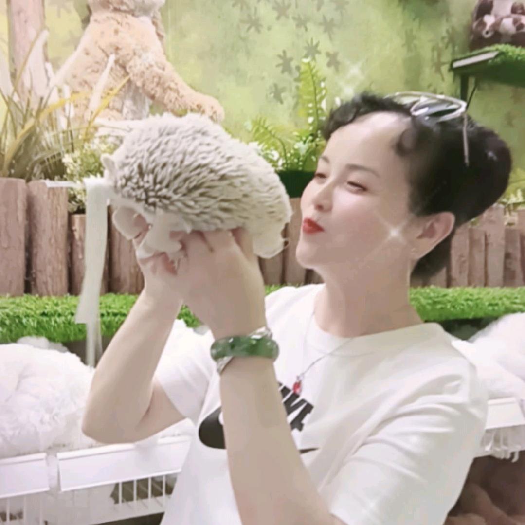 感恩（天津）