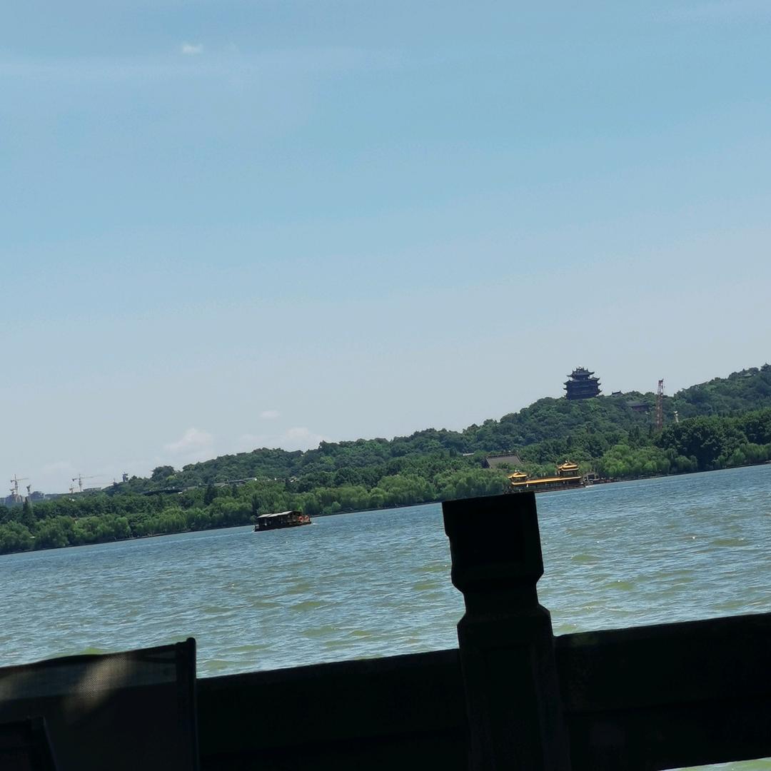 随风飘逸