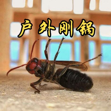 户外刚锅（马蜂产销清收）
